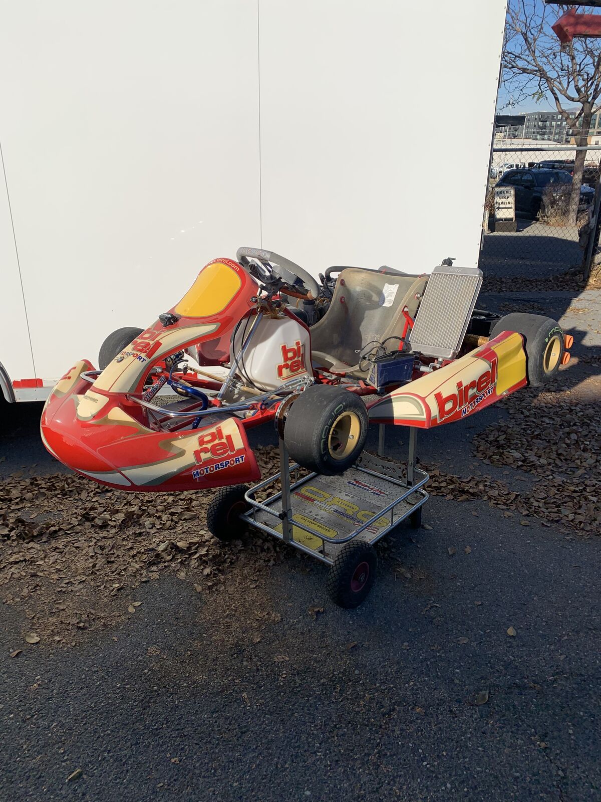 2006 Birel Rotax DD2 two speed shifter kart