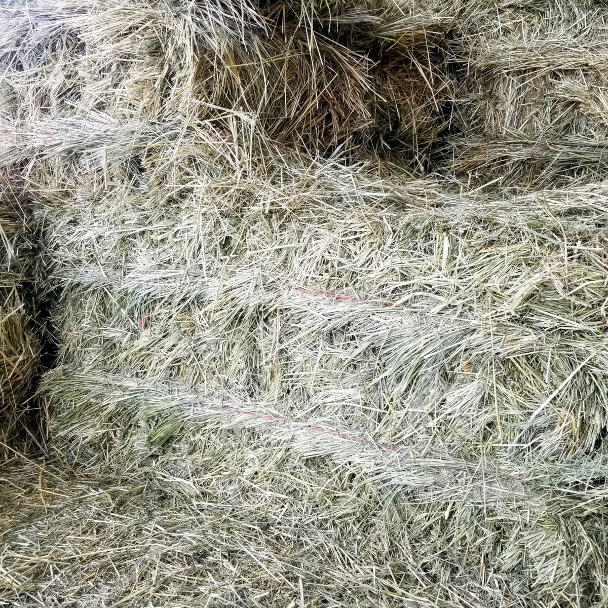 Premium Alfalfa and Grass Hay For sale