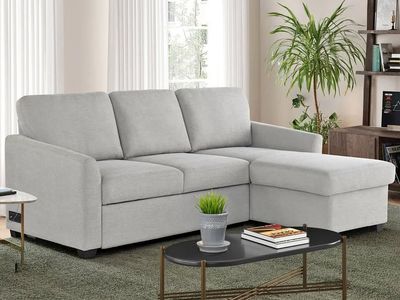Sleeper Sofa + Storage Chaise – NEED GONE ASAP