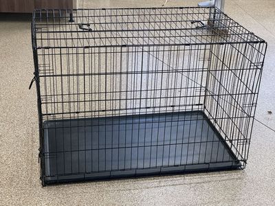 Dog kennel