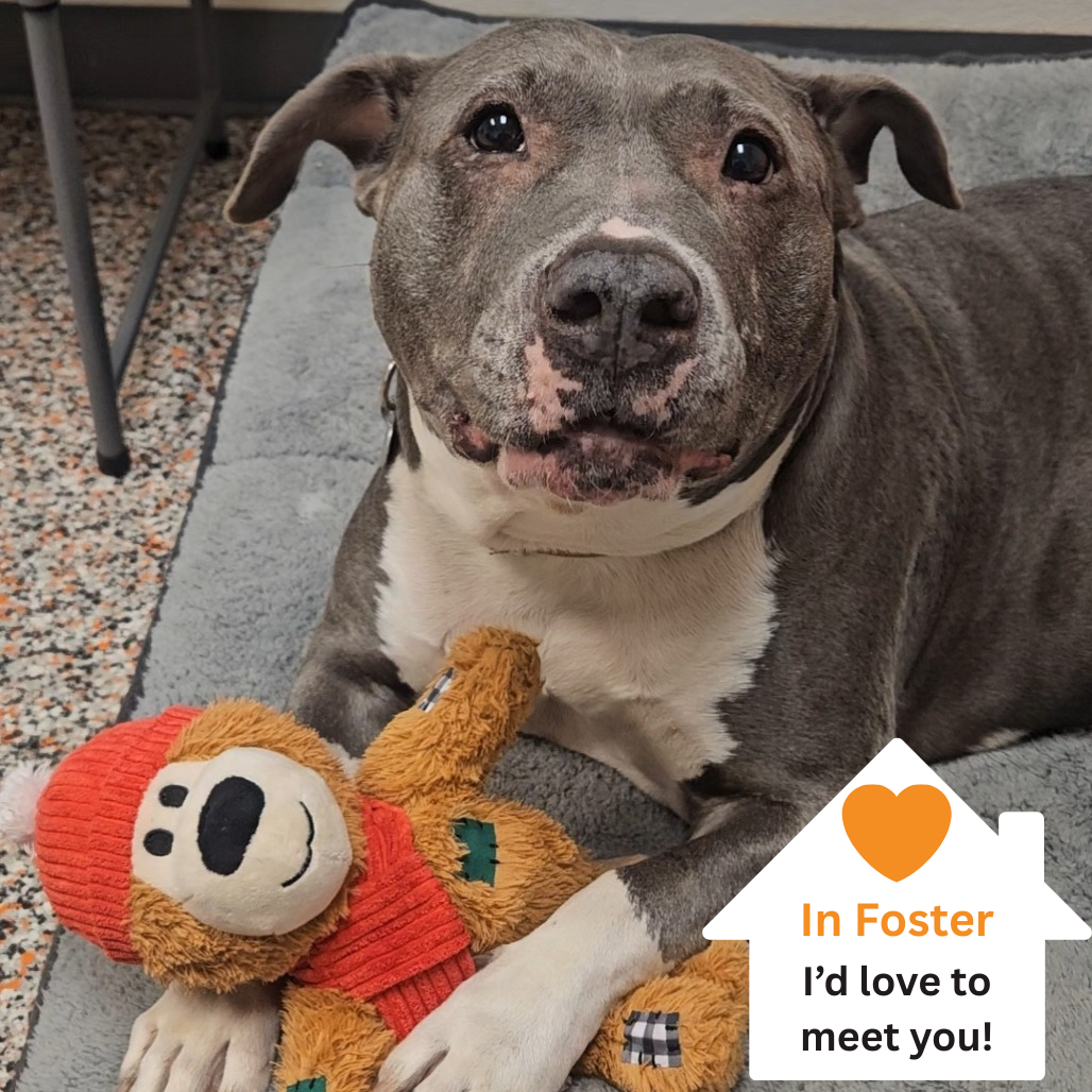 Hello my name is Hattie