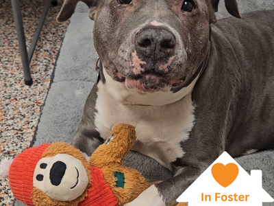 Hello my name is Hattie