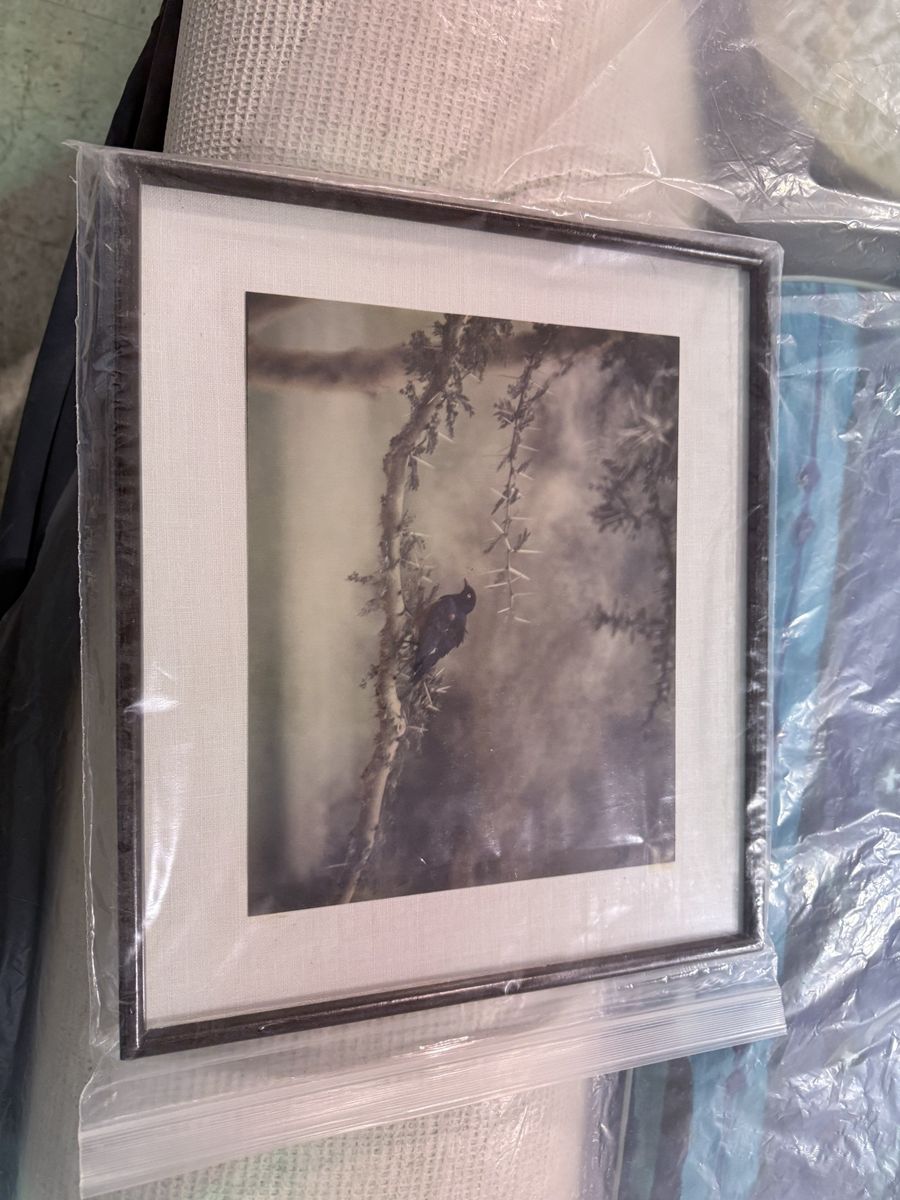 (14) 12' X 13.5" picture frames.   Also an assortment of sizes of photo picture frames