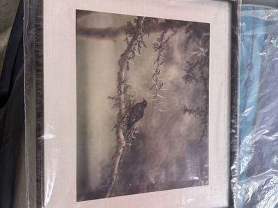 (14) 12' X 13.5" picture frames. Also an assortment of sizes of photo picture frames
