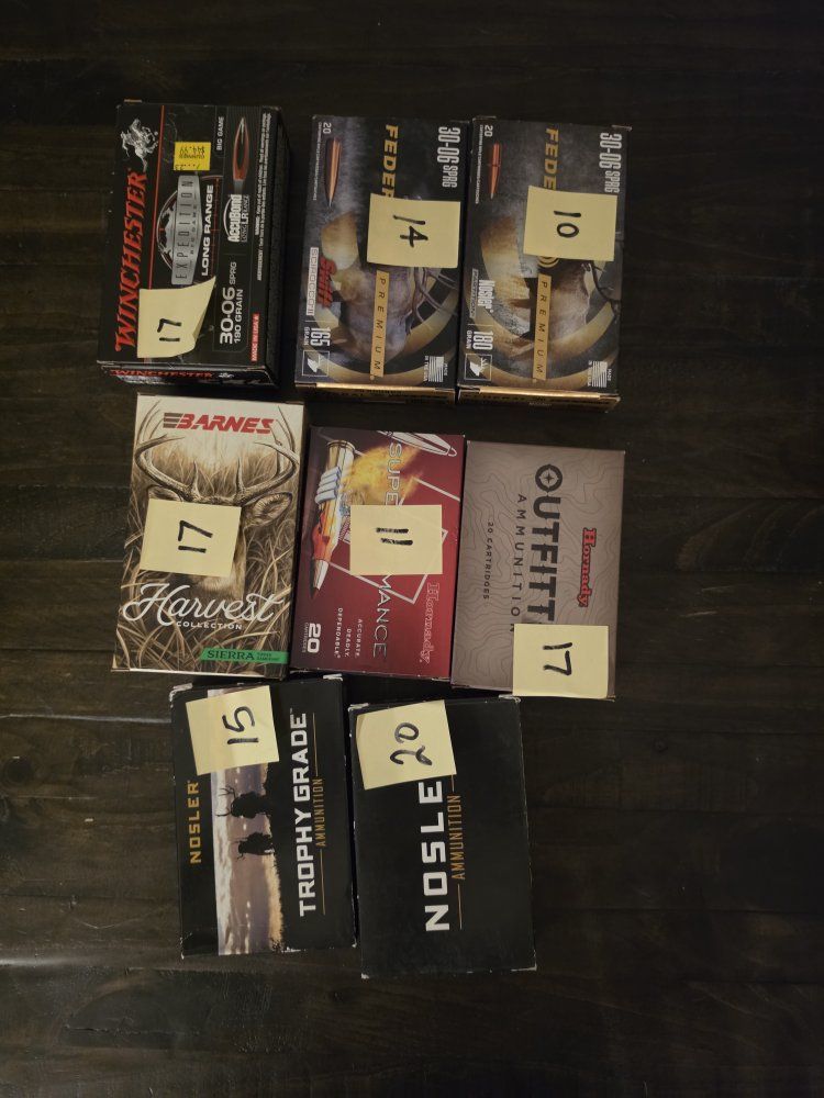 30-06 Ammo
