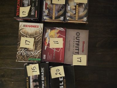 30-06 Ammo