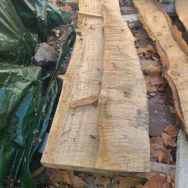 (#1) Elm Wood Slabs-$5 Board Foot