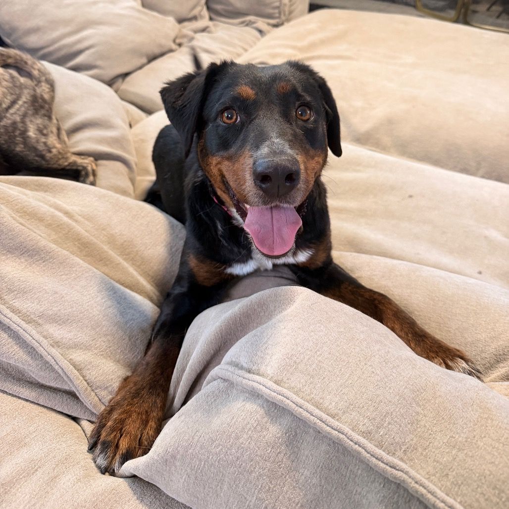 Hello my name is Maya