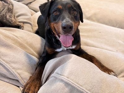 Hello my name is Maya