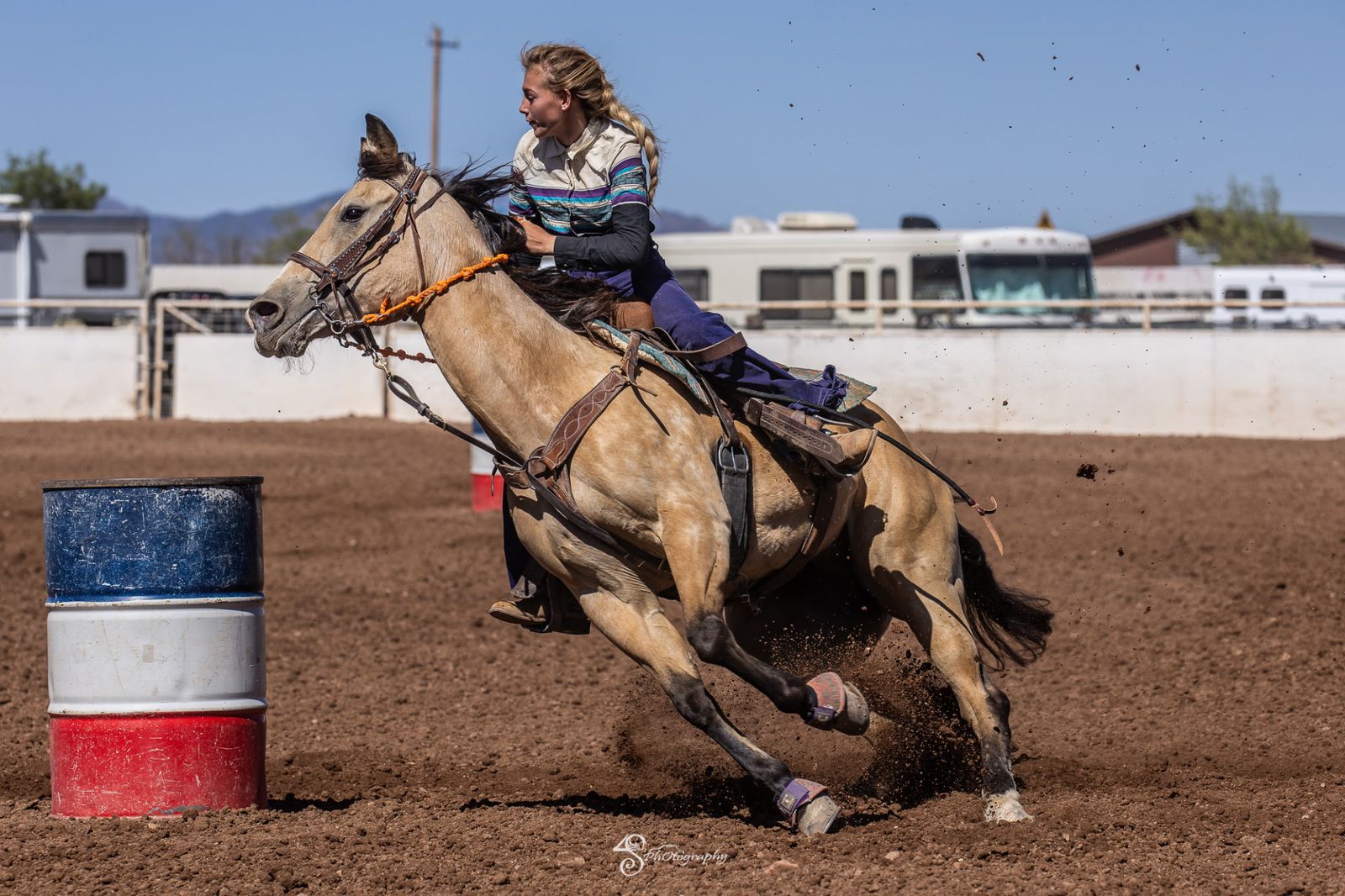 Buckskin barrels poles gelding