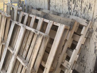 Wood Pallets