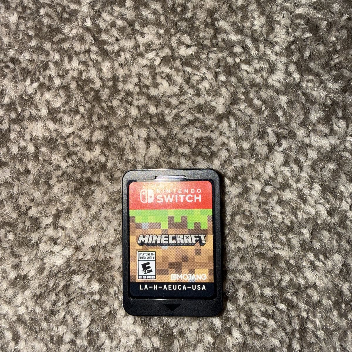 Minecraft Nintendo Switch