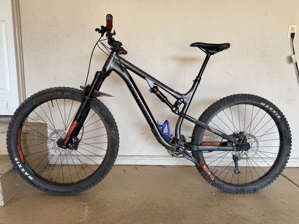 Rocky Mountain - Large