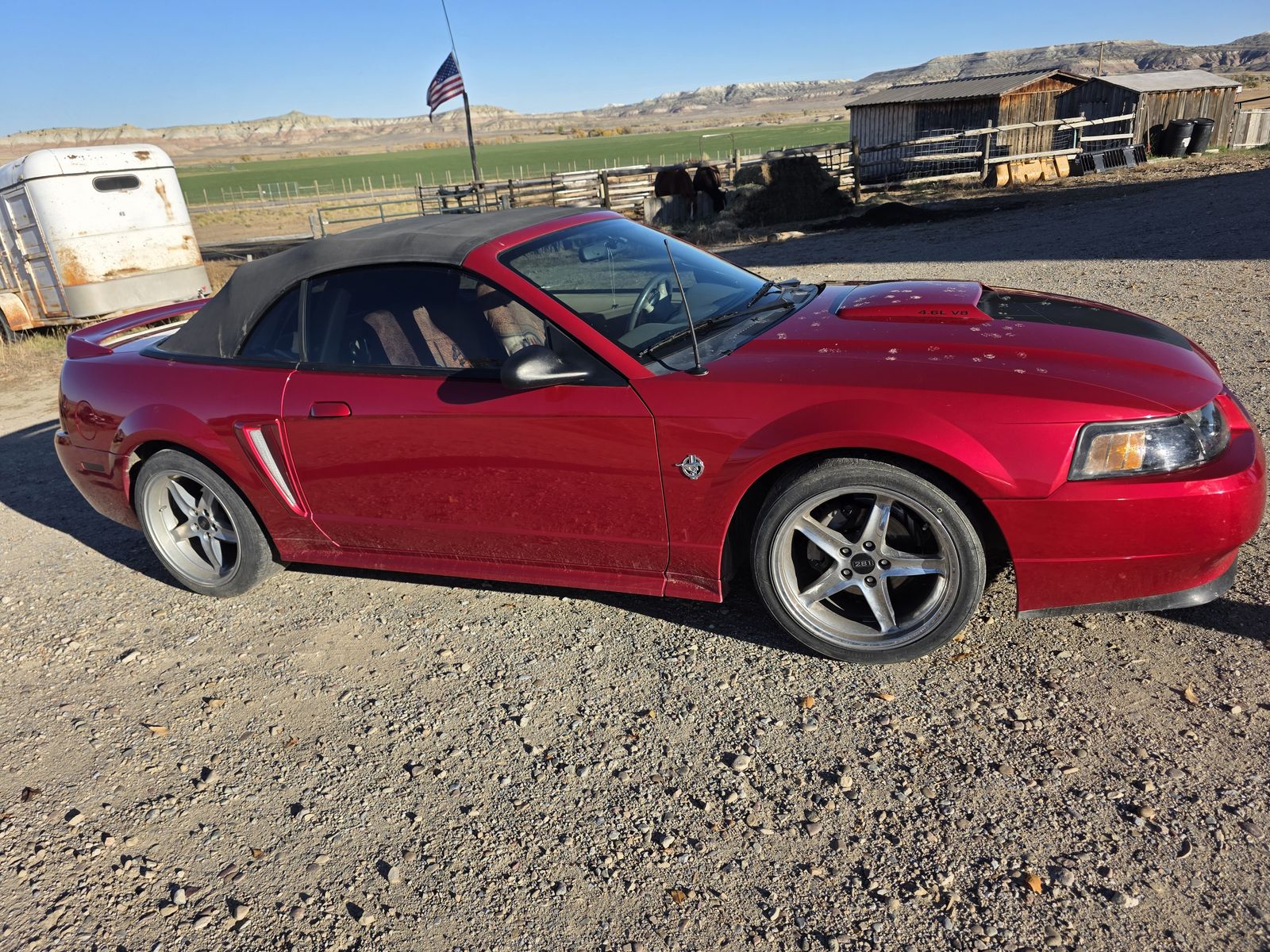 1999 FORD MUSTANG GT