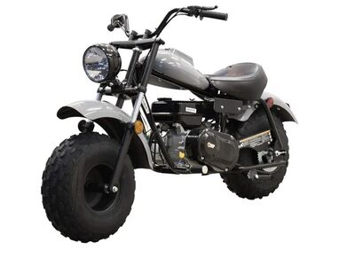 Massimo warrior 200 mini bike
