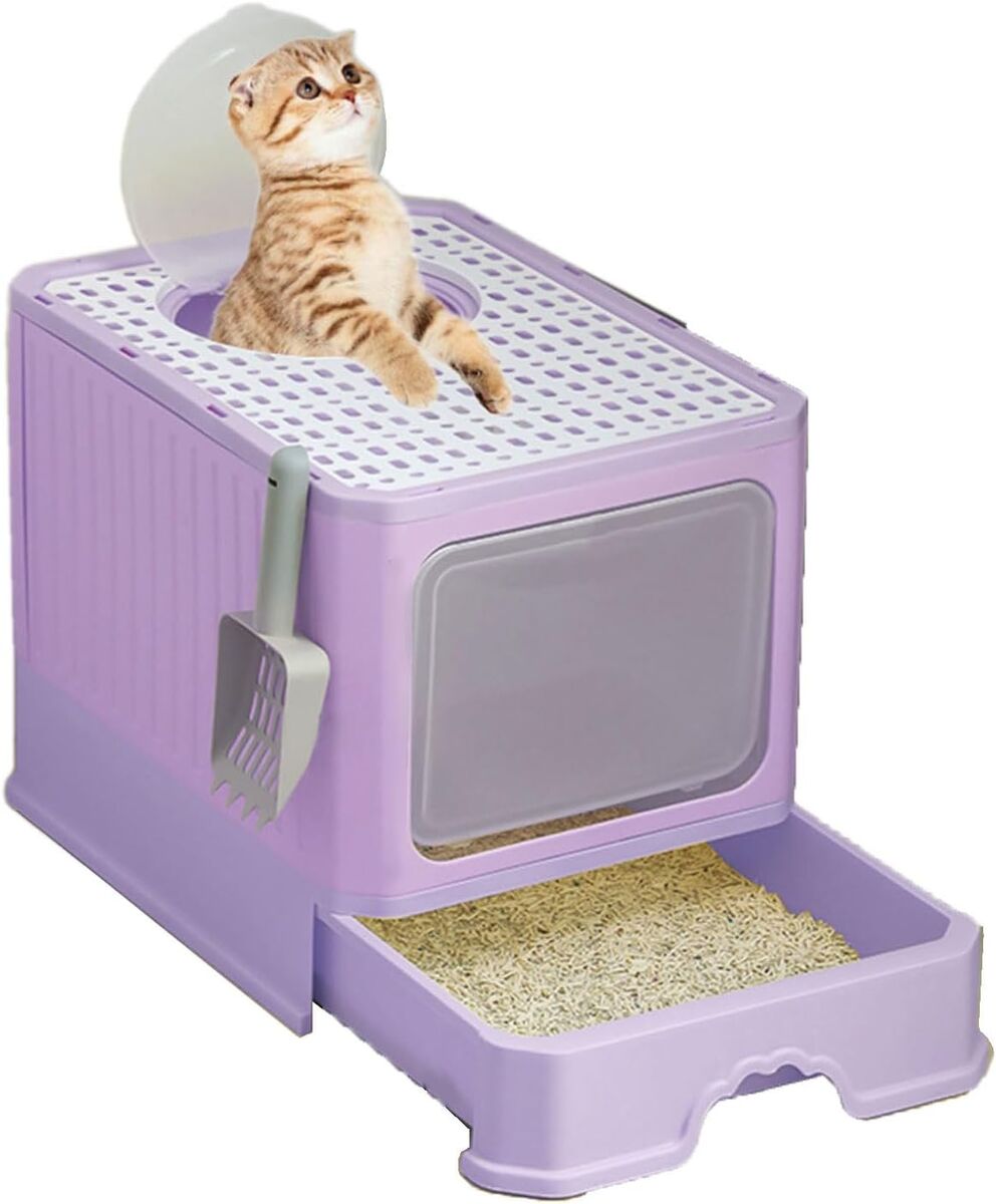 Gray or Purple Litter Pan for Kitten/Cat