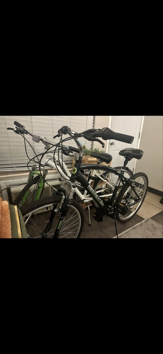 Recreation R3 Adult  Bike - Black & White