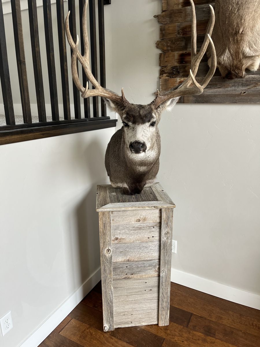 Barn Wood Taxidermy Pedestal