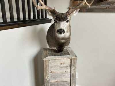 Barn Wood Taxidermy Pedestal