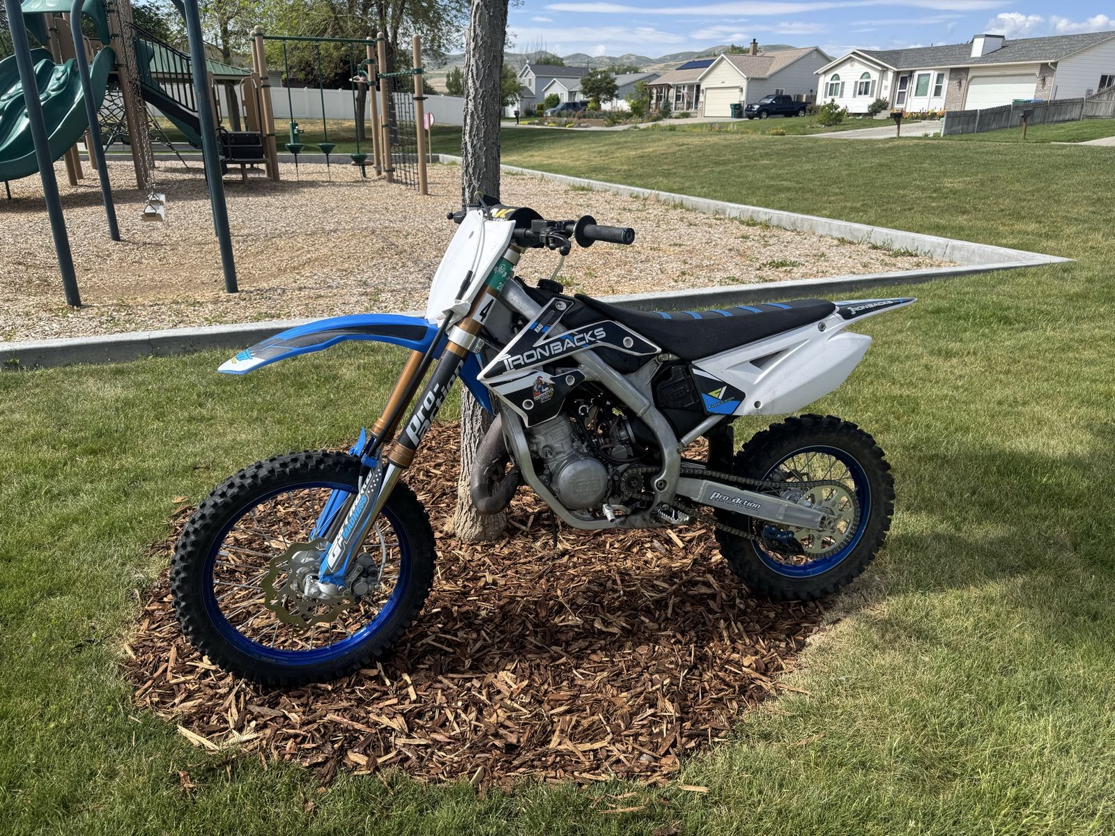 TM 85 MX 85cc 2-Stroke Dirt Bike - Hand-Built Italian Race Bike, Aluminum Frame
