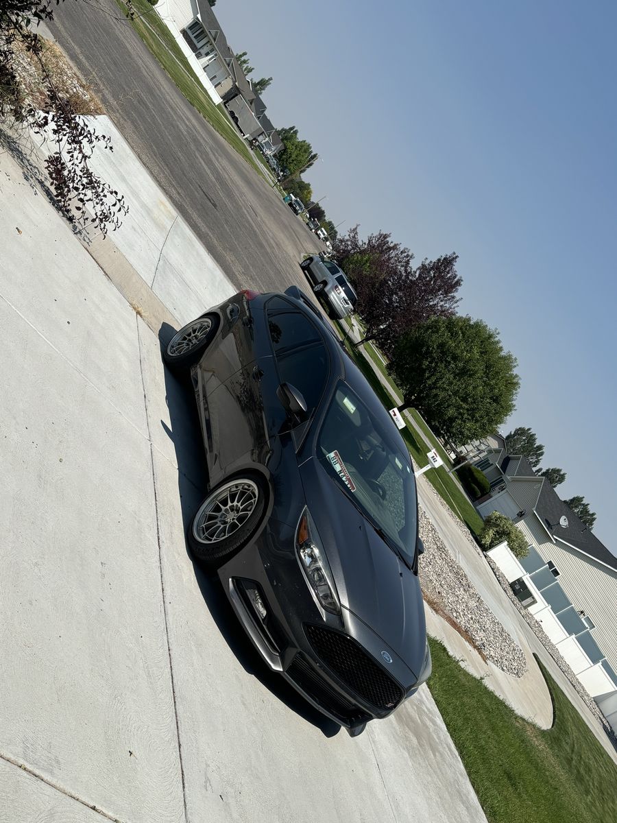 Ford Focus ST Hatchback - Gray Performance Car