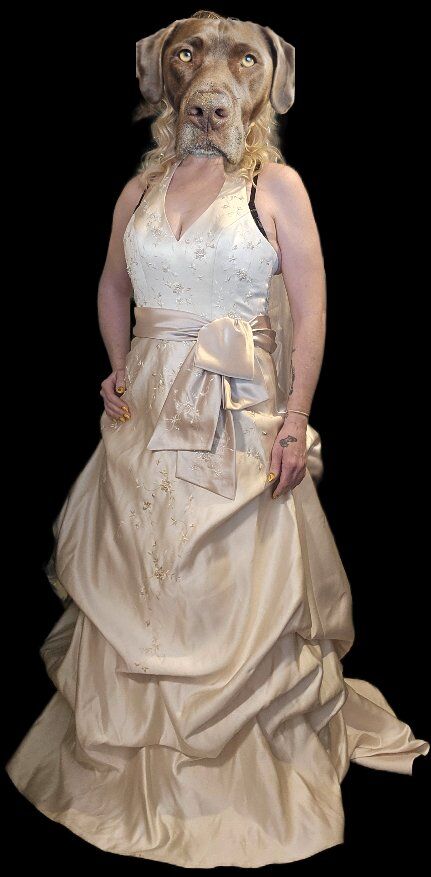 SZ 6 champagne colored/light gold formal dress