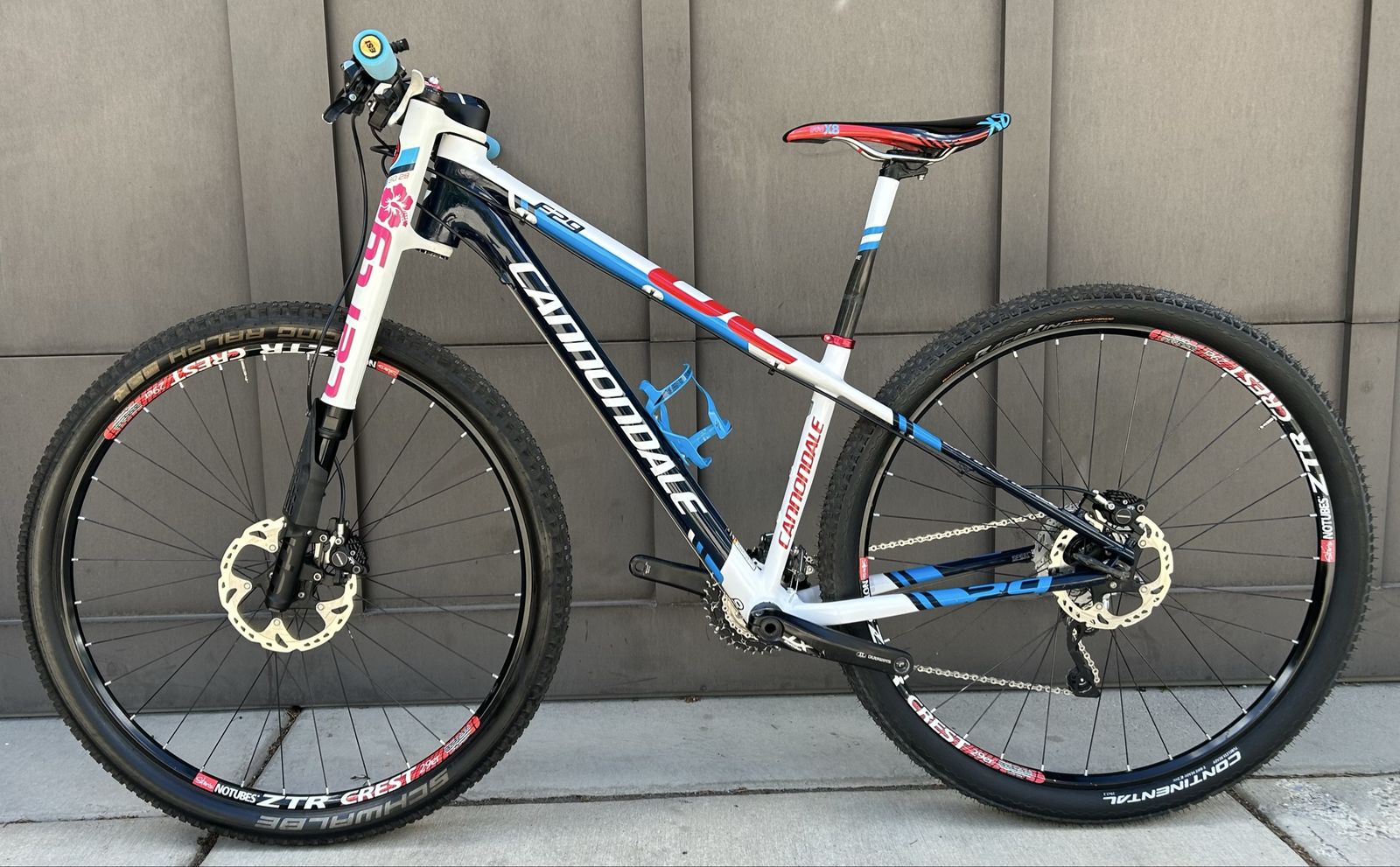 21lb Cannondale F29 Carbon - Race Ready - Small