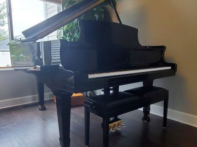 BEAUTIFUL SOUND Pramberger JP185 Polished Black Grand