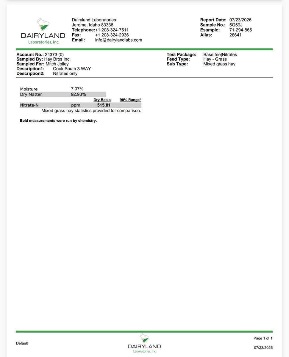 Main image 6