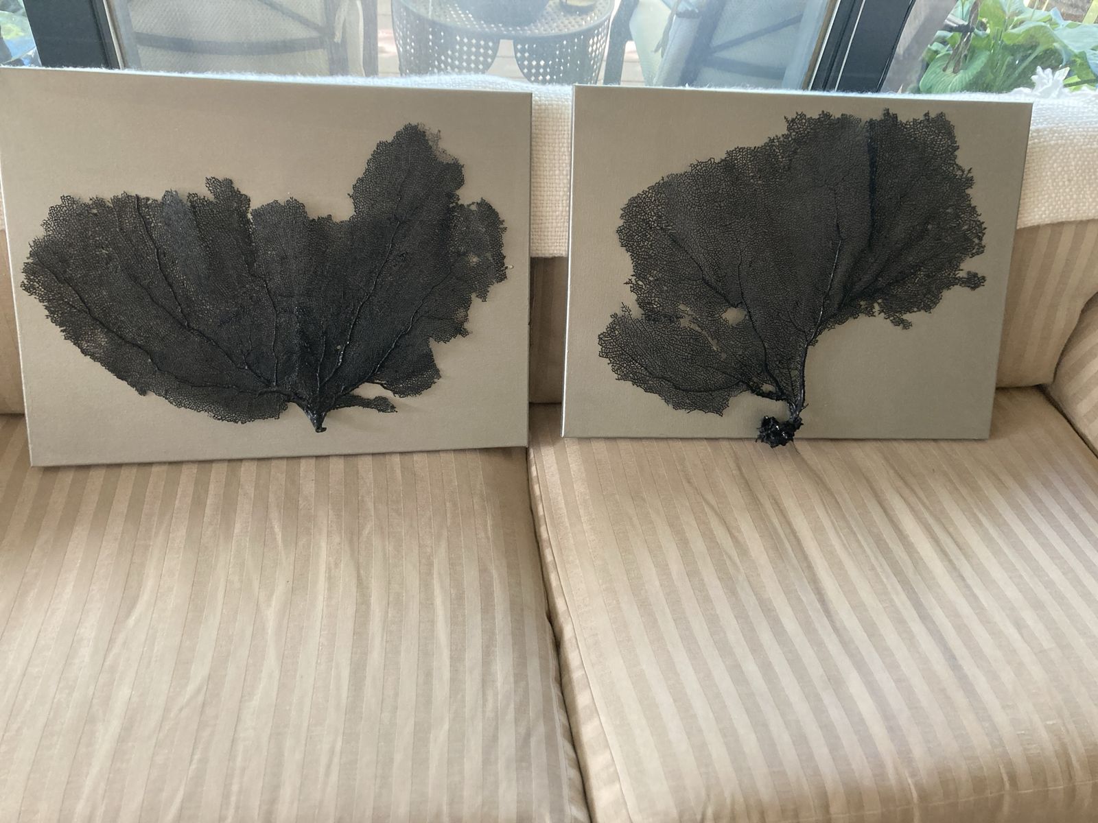 Fan Coral Art 18x24, Set or single