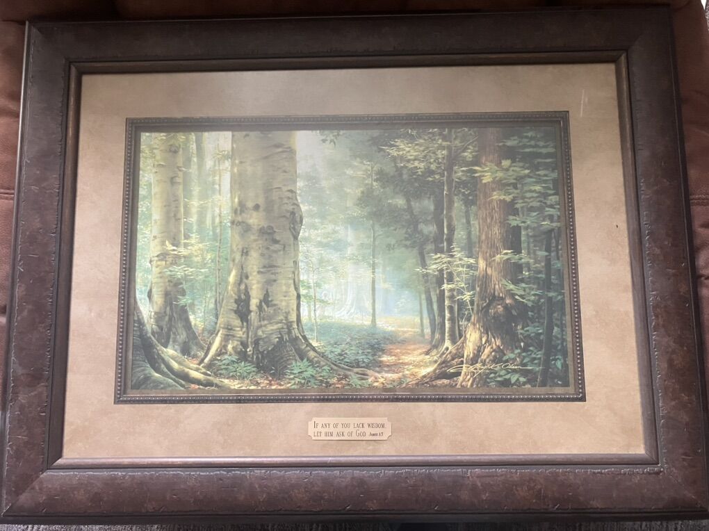 Greg Olsen First Vision