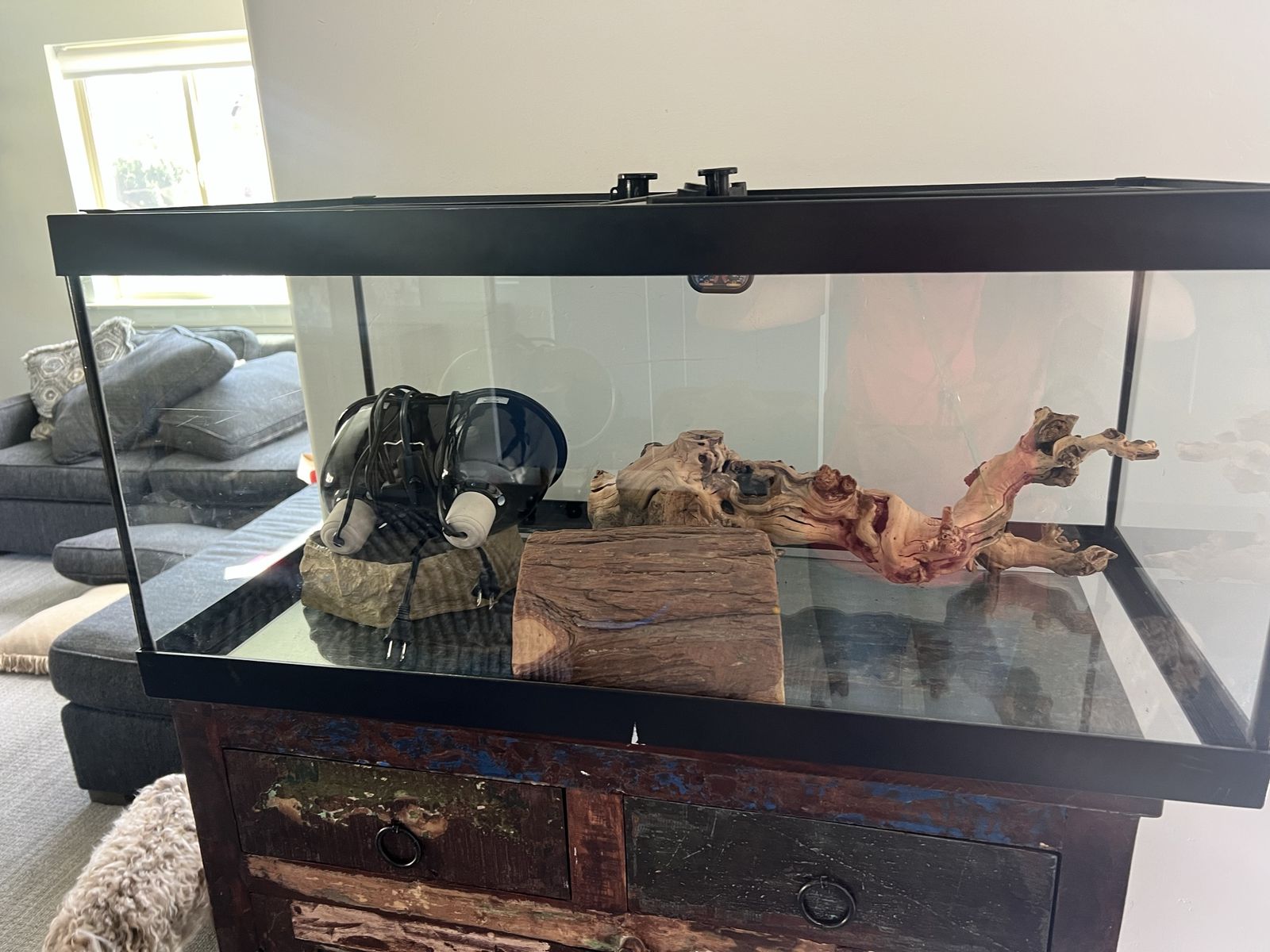 50 Gallon Tank + all Necessary items