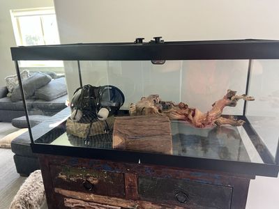 50 Gallon Tank + all Necessary items