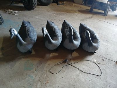 Goose decoys