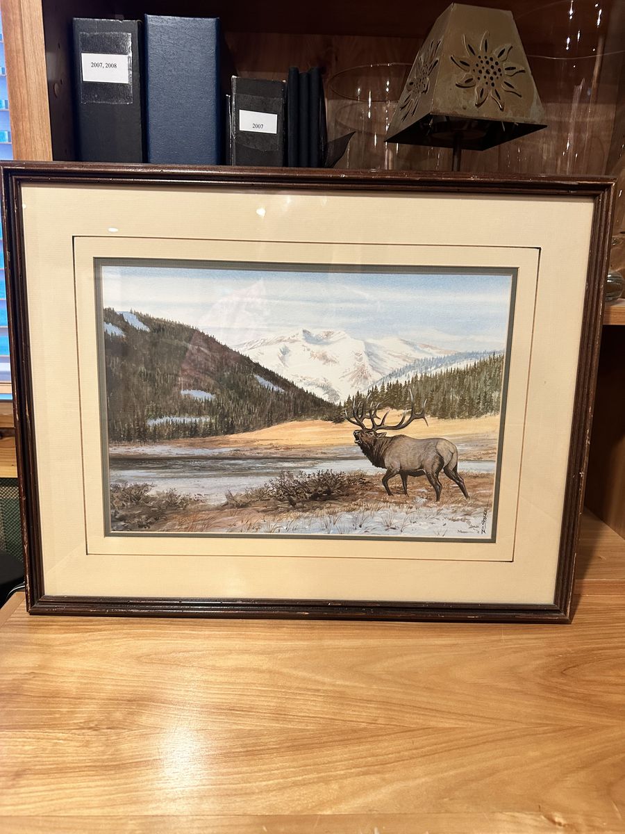 Original Wildlife Watercolor