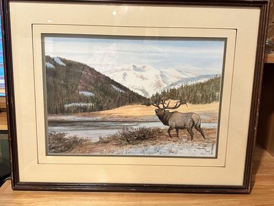 Original Wildlife Watercolor