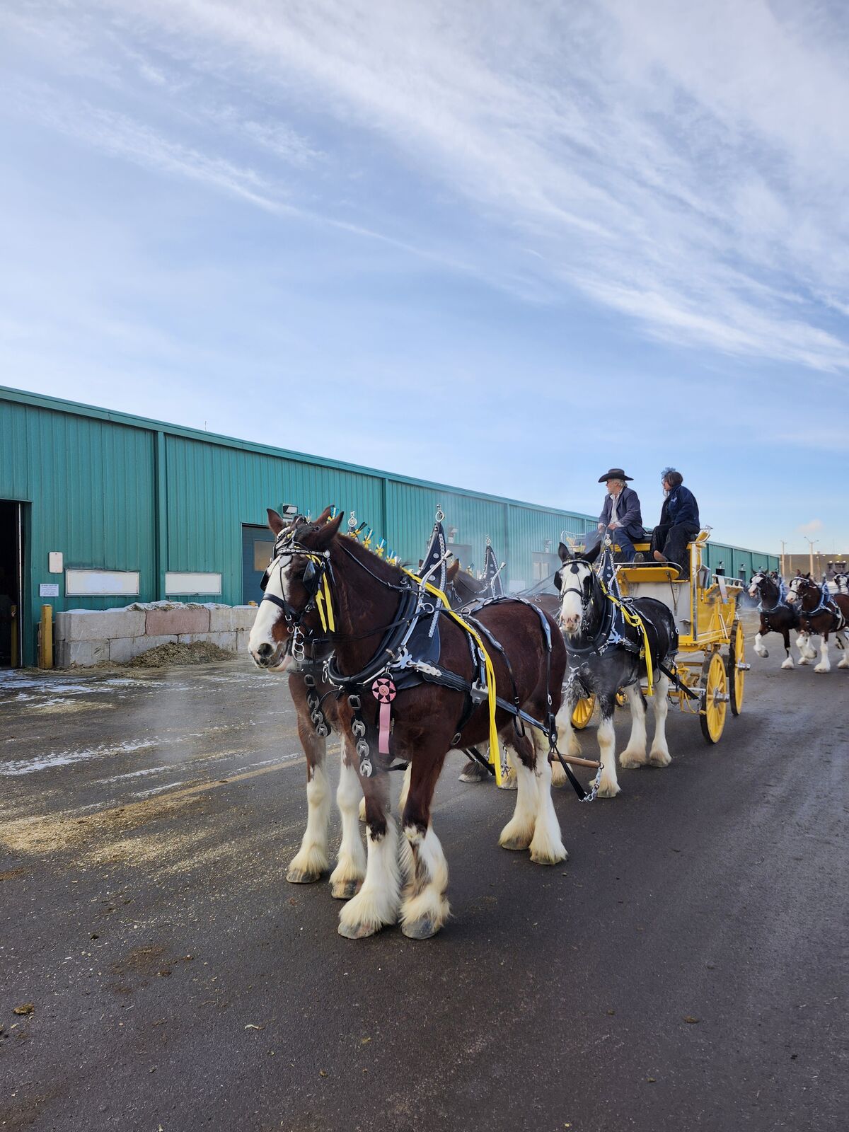Wagon rides special events