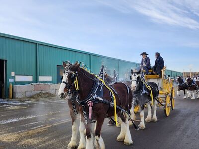Wagon rides special events