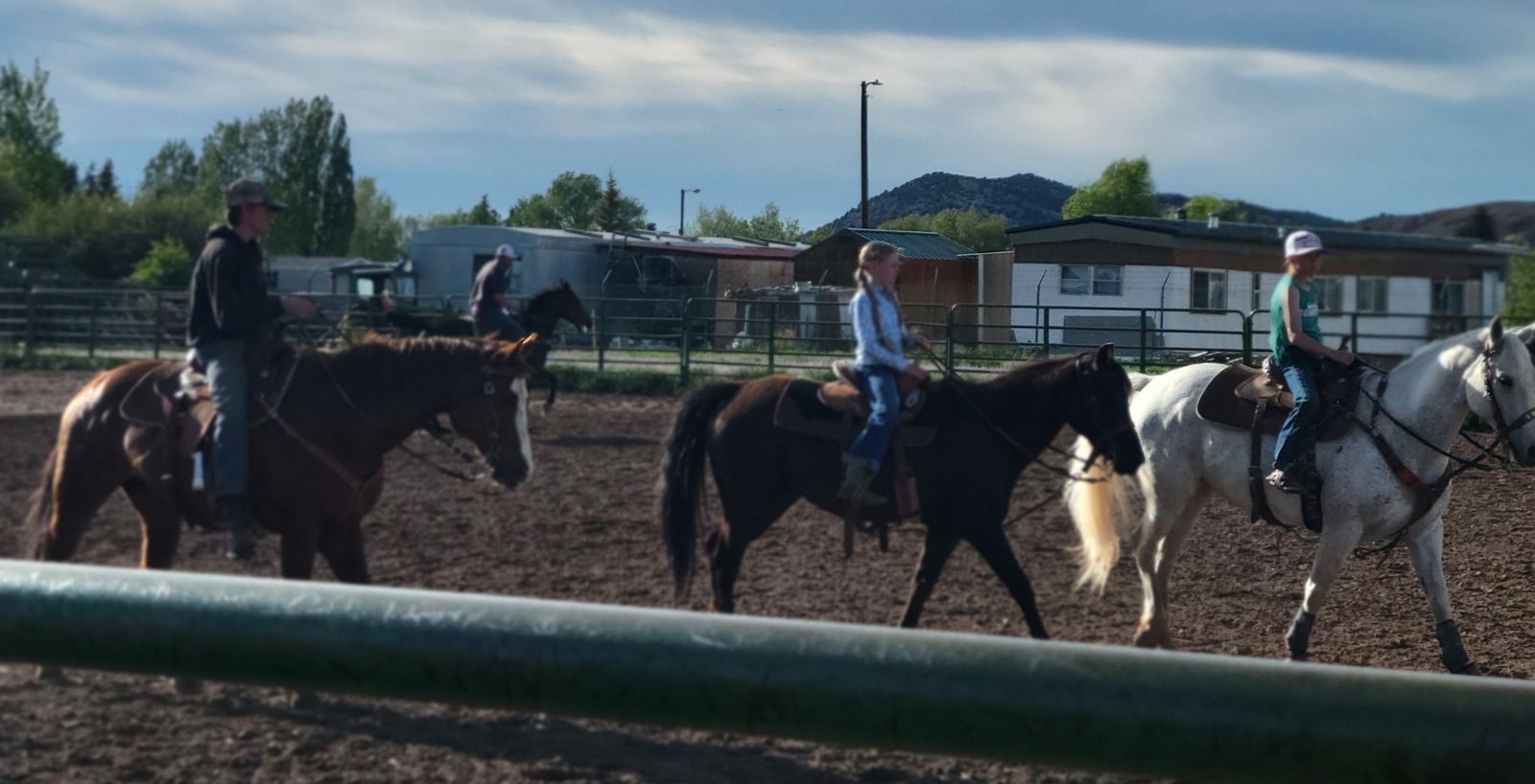 11 year old mare! Some one’s kids next best friend.