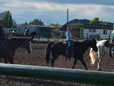 11 year old mare! Some oneβs kids next best friend.