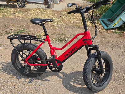 PEDEGO Element V2