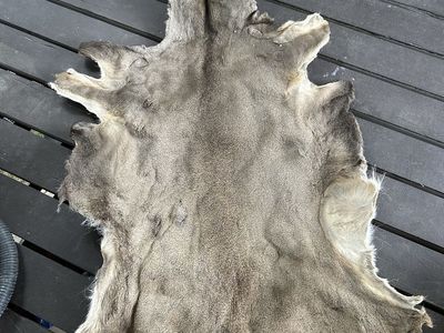 Salted Deer Hide