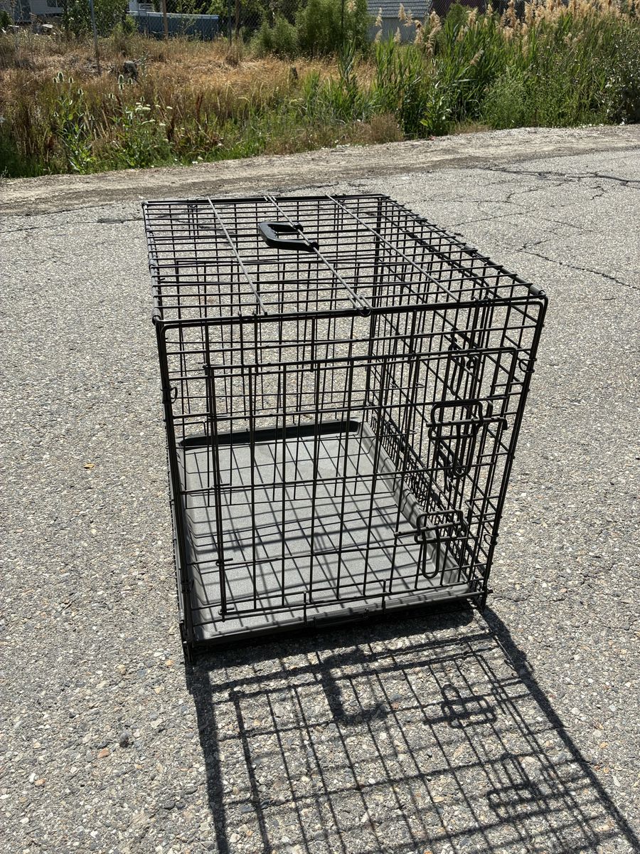 Collapsible Black Wire Dog Crate, Pet Kennel, Single Door, 24-inch, Travel/Training