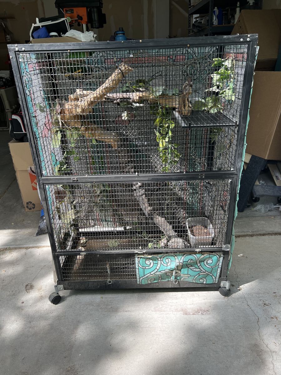 Large reptile habitat