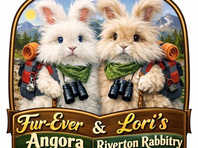 Full Face/Magpie/BEW English Angoras Waitlist