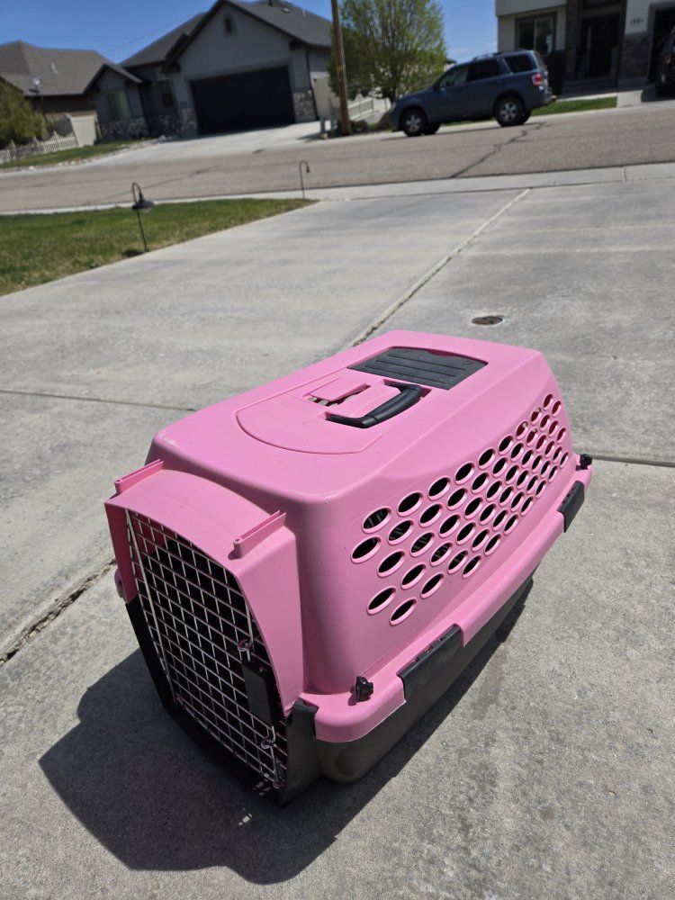 Pet Carrier for Small Dog/Cat - Pink Hard-Sided Travel Crate