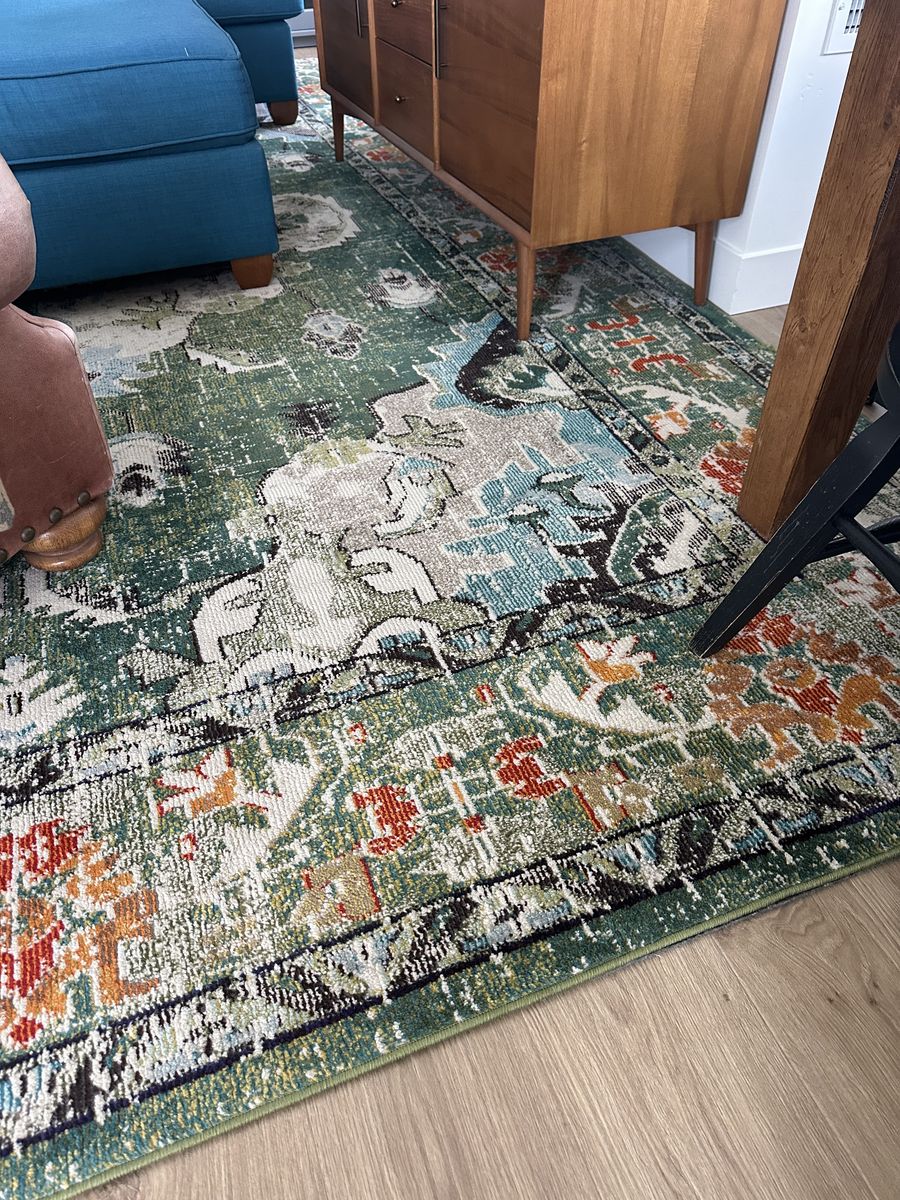Area Rug 10' x 14'