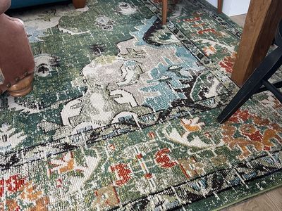 Area Rug 10' x 14'