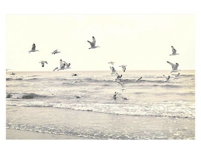 Pottery Barn Coastal Print "Catching the Breeze" (New in Box)