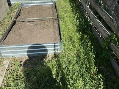 Weeds Removal Yard Clean Up Mowing Great Prices